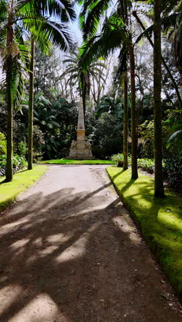 flight above the alley in the green park among the palm-trees. drone approaches the monument at the end of the road. vertical video.