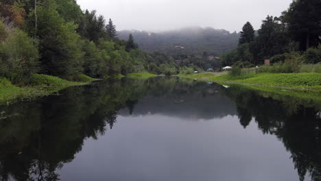 Drone-flying-low-over-calm-river-stream-in-a-misty-temperate-pine-forest