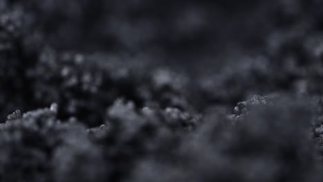 portion of black caviar rotating on a plate (close-up; seamless loopable)