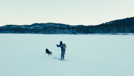 the man is being towed on skis by a dog in indre fosen, trondelag county, norway - tracking shot