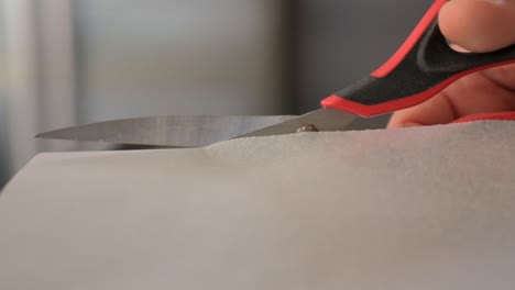 close-up of cutting parchment paper for baking