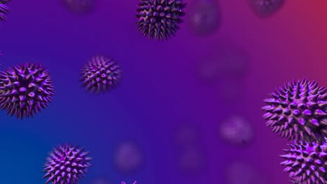 purple virus moving