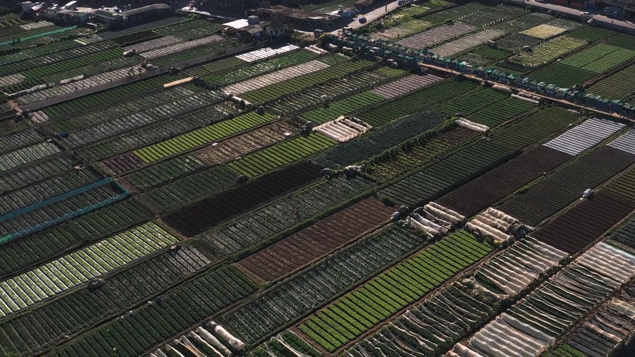 Ripresa aerea di campi coltivati all'interno della città di Baguio, Filippine