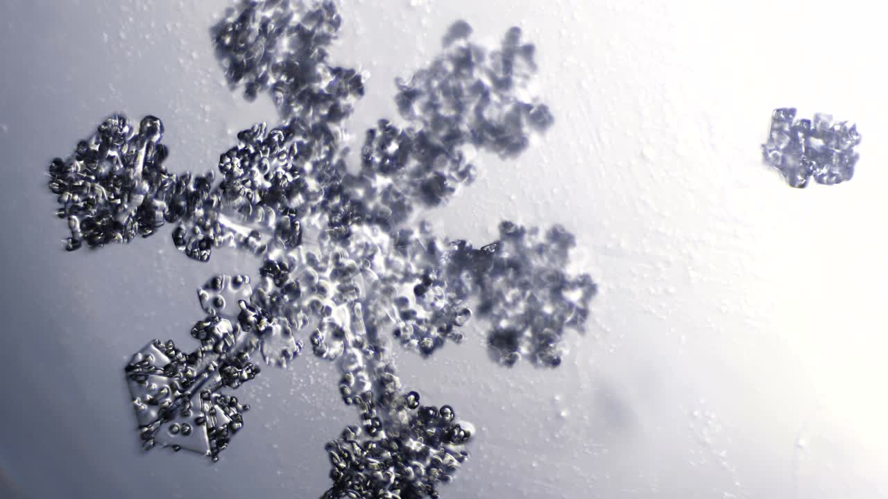 현미경 에서 눈알의 밝은 크리스탈 얼음 가지 매크로