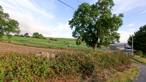 a vehicle travels along a narrow country road bordered by fields, stone walls, and trees in the english countryside under soft evening sunlight