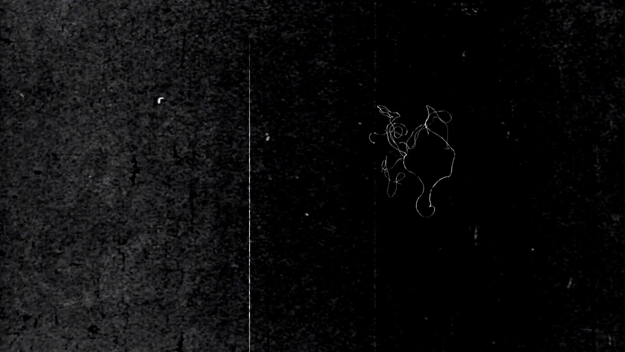 Vintage Film Scratches and Dust Overlay on Black Background