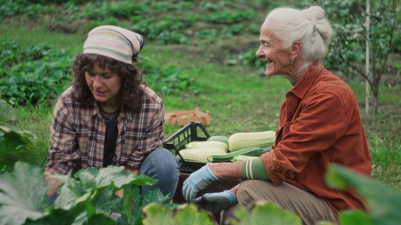 Young Woman and Her Grandmother Harvesting Zucchini in Garden