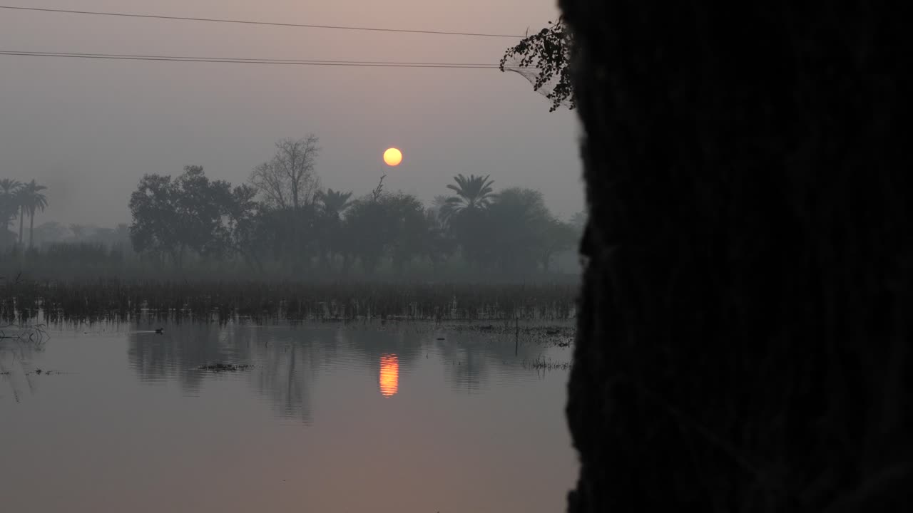 बाढ़ग्रस्त खेत के ऊपर धुंध के बीच से पेड़ों के ऊपर नारंगी गोलाकार सूर्यास्त।