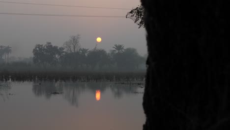 orange round sunset above trees seen through haze over flooded farm field