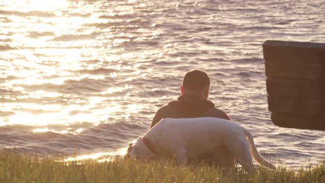 guy with dog sitting and taking pictures on the grass with dazzling water in the ocean at sunrise. - static