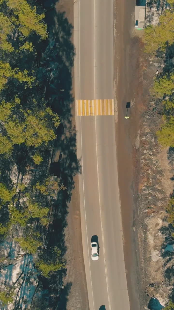 flycam moves above fast vehicles driving along roadway with crosswalks connecting green forest sides bird eye view