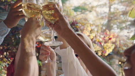 fun group of friends making toast drinking wine at summer party enjoying summertime social gathering celebrating on sunny day 4k footage