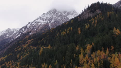 Ascending-aerial-view-of-colorful-trees-in-the-valley-and-snowy-mountains-in-background-during-cloudy-day-in-Kauntertal,-Austria