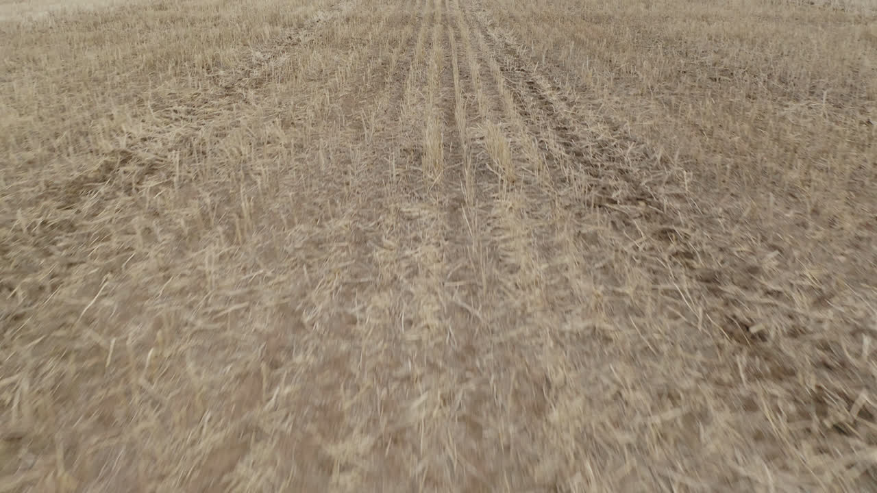 flyver over store landbrugsarealer med en såtraktor i saskatchewan, canada