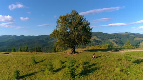 musician in the mountains. professional cellist performing music on a top of a green hill on beautiful mountainous background. road on the hill in summer.