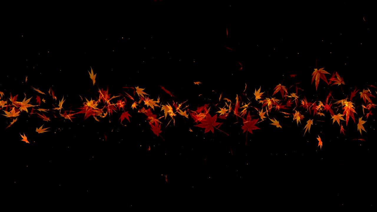 검은 바탕에 떨어지는 가을 잎, 메이플 잎, 루프 글리터 애니메이션