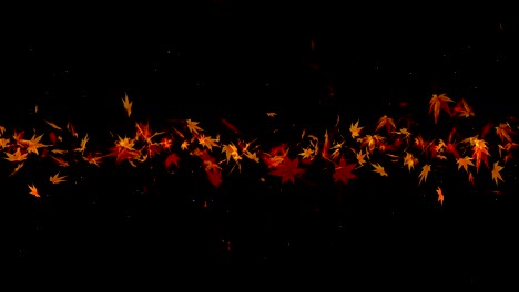 hojas de otoño cayendo sobre un fondo negro, hoja de arce, animación de brillo de bucle,