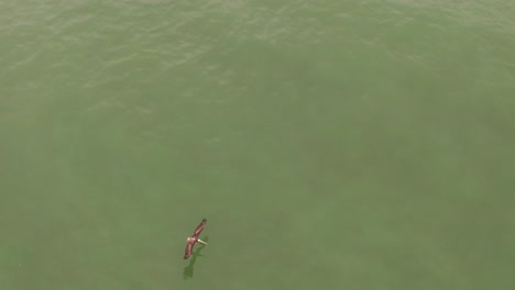 Flight-above-epic-tracking-of-an-Peruvian-pelican-from-top-as-it-flies-just-above-sea-water-with-shadow-on-water,-bird-from-top-aerodynamic