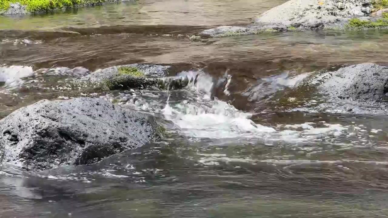 Água Cristalina Fluindo Sobre Rochas Vulcânicas Escuras em um Riacho