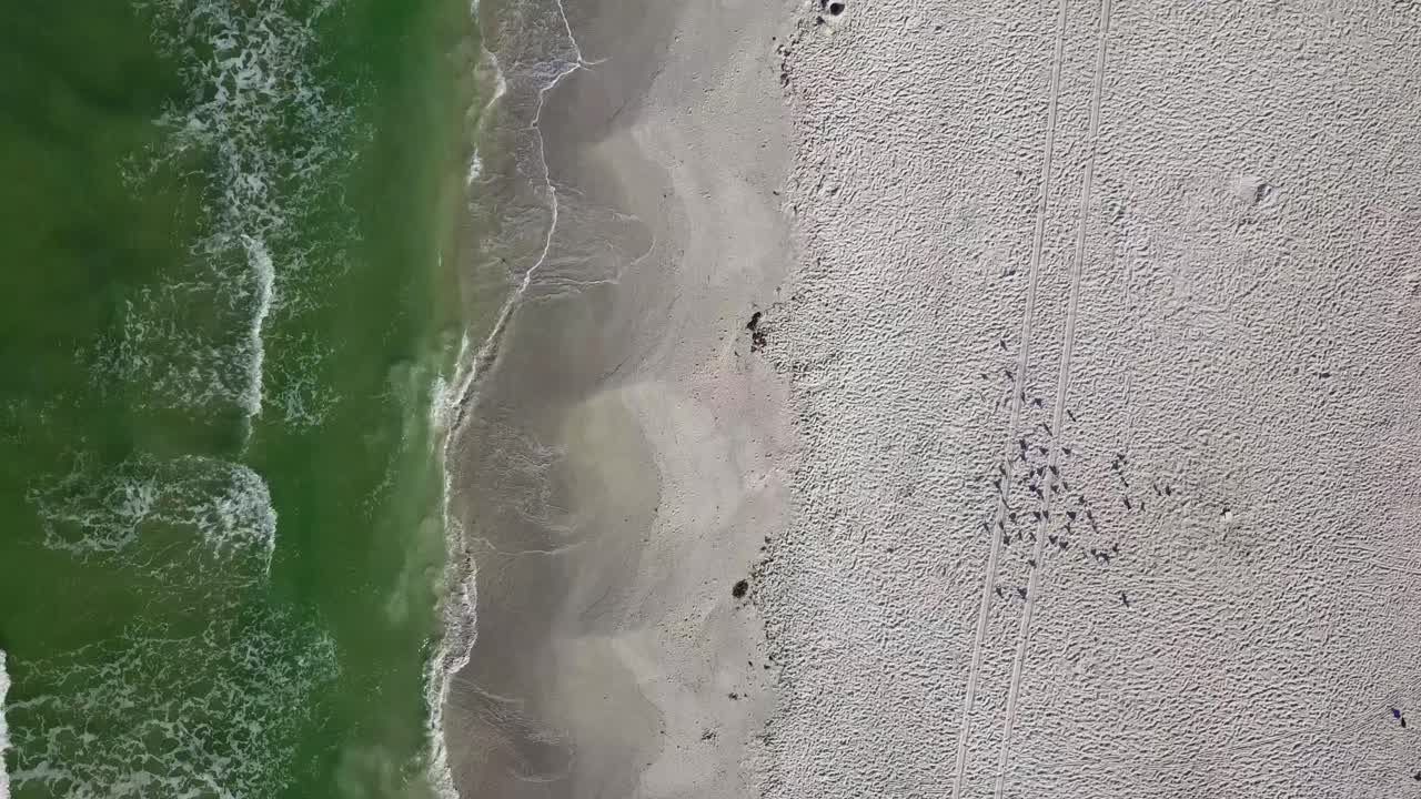 플로리다주 상트페테르부르크 해변의 평온한 하루