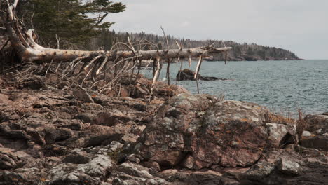 Gentle-snowfall-on-the-rocky-shoreline-of-Lake-Superior