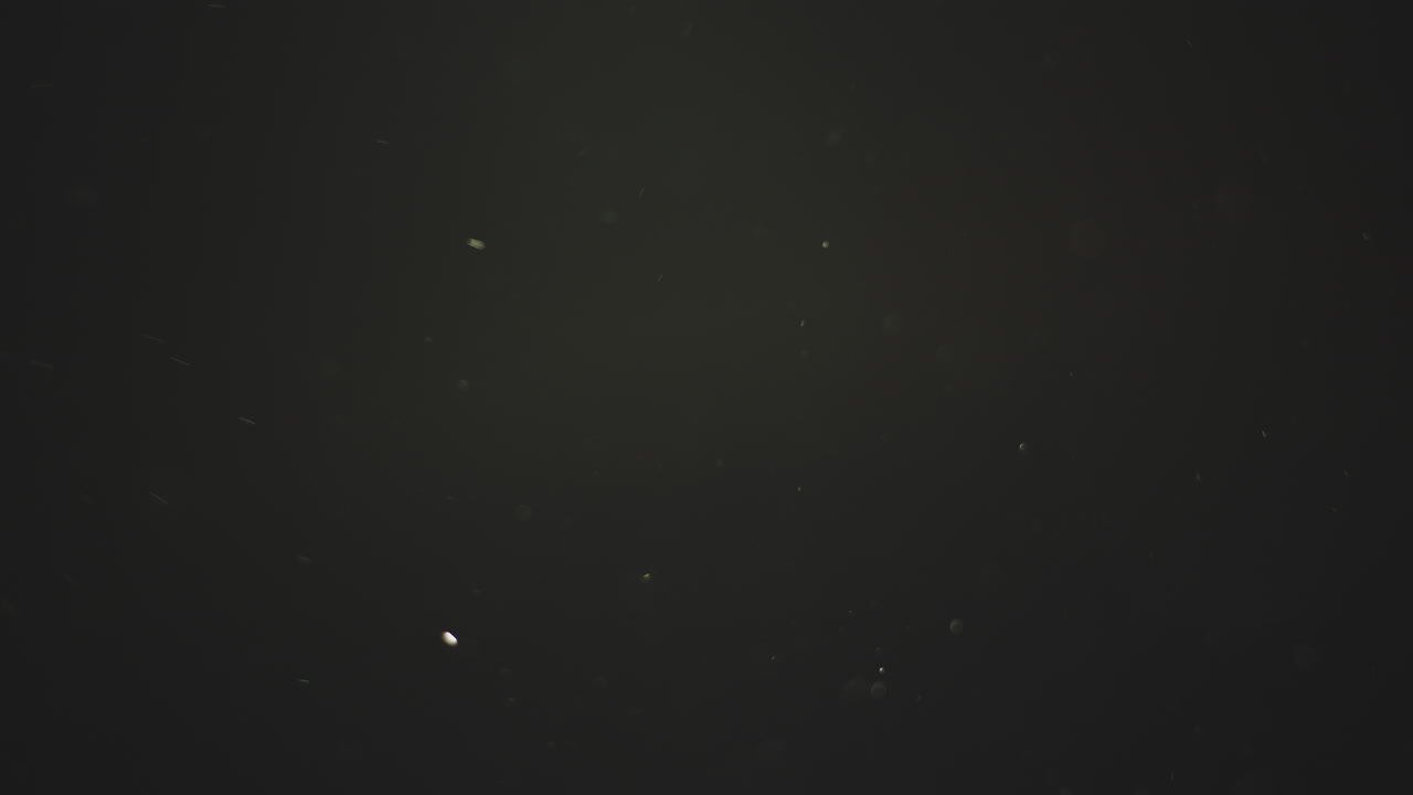 추상적인 먼지 입자