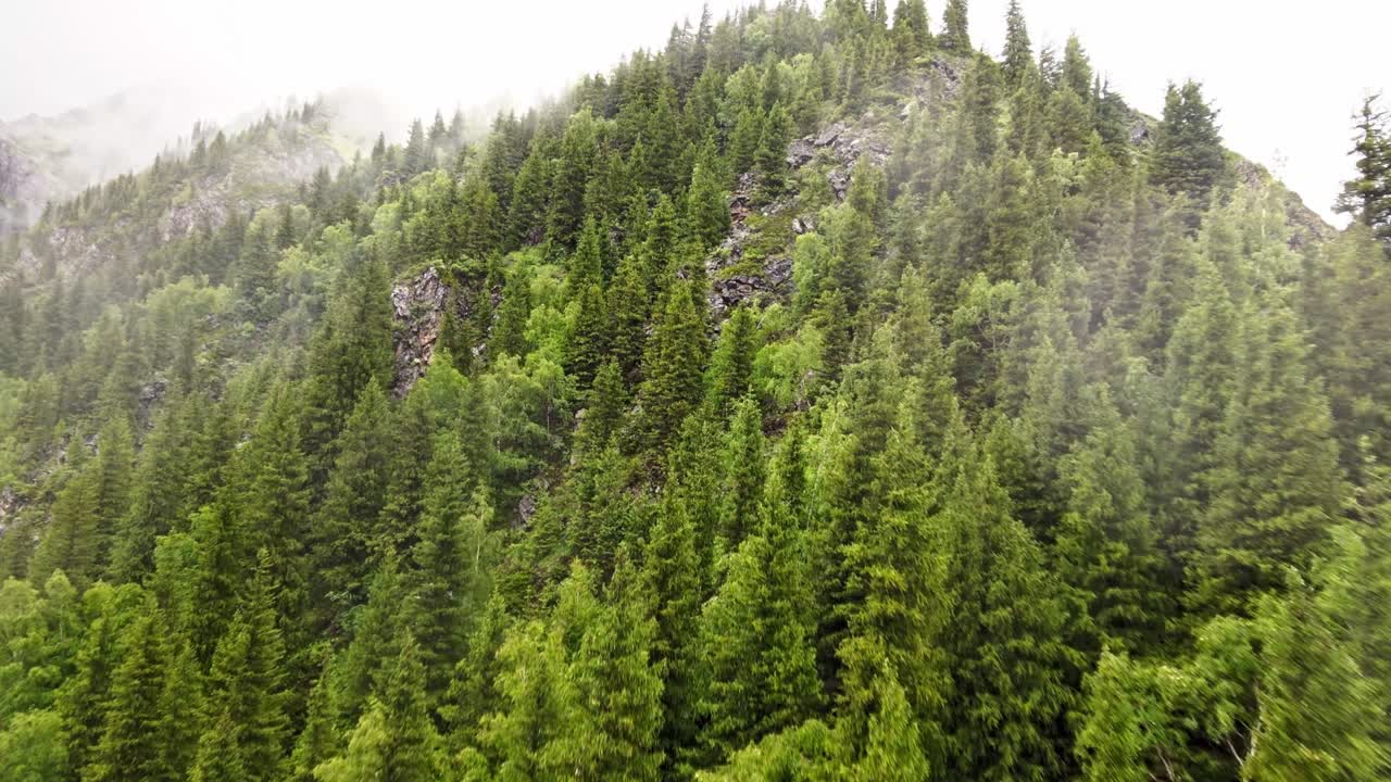 草地和山脈的風景