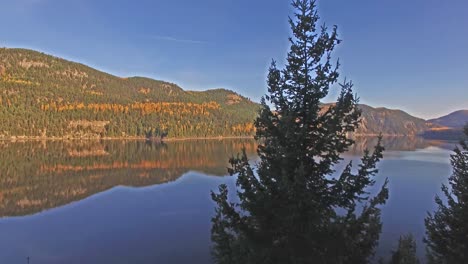 Drohnenaufnahmen-Aus-Der-Luft-Eines-Sees-In-Montana-Im-Herbst-Oder-Herbst,-Die-Kiefern-Hochschwenken