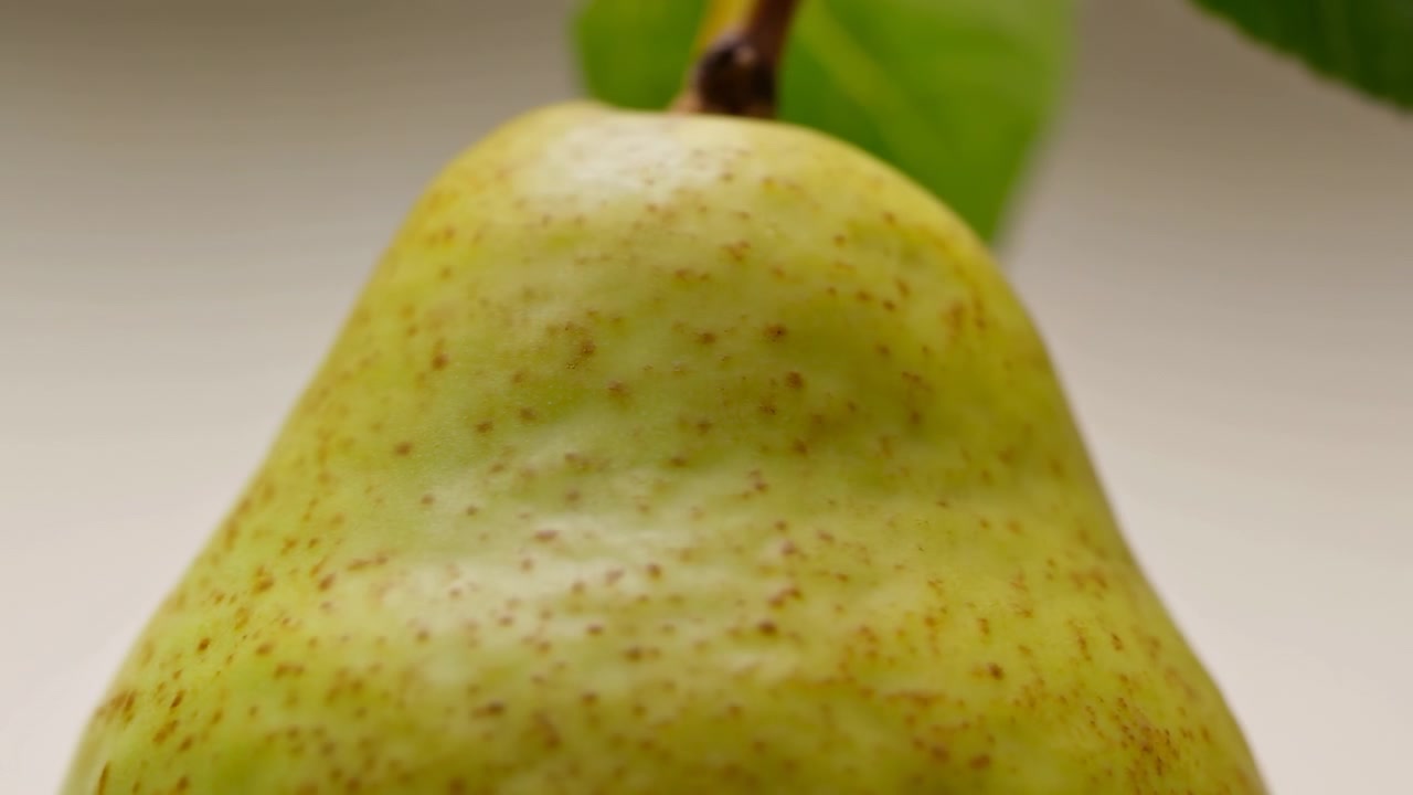 Una pera verde matura pende da un ramo in un ambiente di frutteto delicatamente sfocato, con la luce naturale del giorno che ne evidenzia la pelle liscia e l'aspetto fresco da giardino