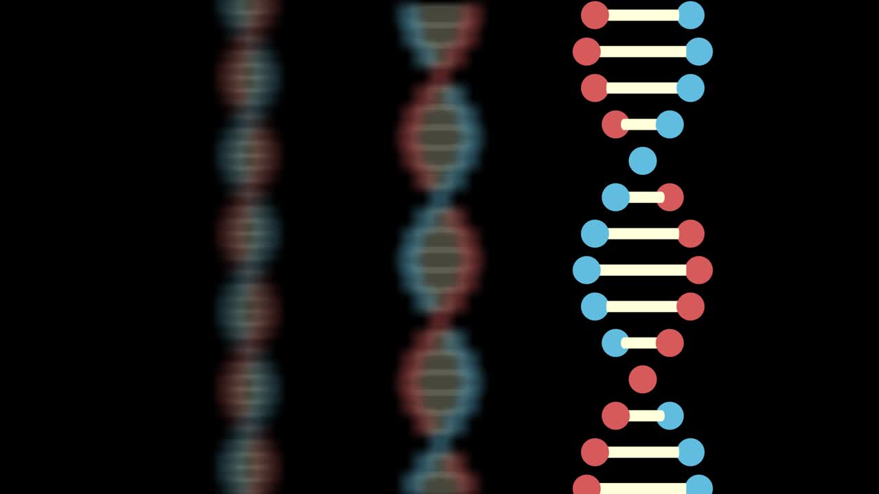 2D animation of three DNA on a black background. The subject is on the right. The focus is on the front. The background is blurred. 60FPS
