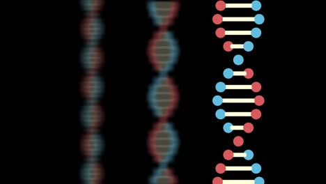 2d animation of three dna on a black background. the subject is on the right. the focus is on the front. the background is blurred. 60fps