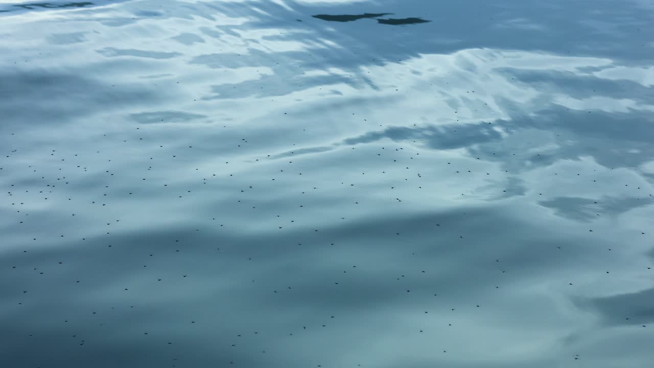 평온한 바다 표면의 부드러운 파도