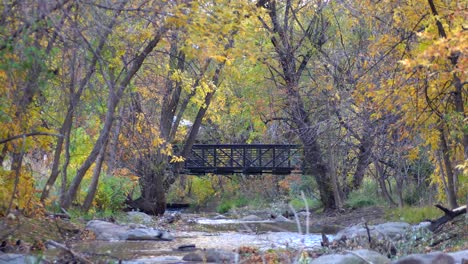 Colores-De-Otoño-A-Lo-Largo-Del-Boulder-Creek-En-Boulder-Colorado