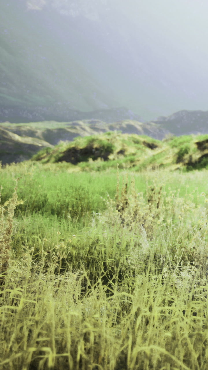 Vast green landscape under sunlight with hills in background and gentle curves