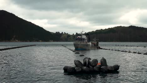 Trabajadores-En-Barco-Cosechando-Mejillones-De-Concha-Verde-De-Nueva-Zelanda