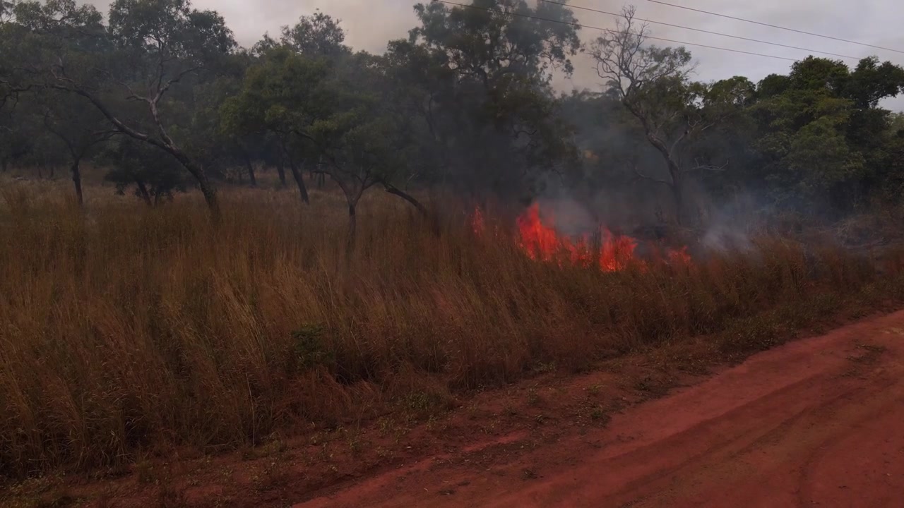 Vista aerea di un incendio di erba che divampa accanto a una strada sterrata rossa a Cape York, Queensland, Australia. L'erba secca e alta brucia con fiamme vivaci e fumo bianco che si alza nel remoto Outback australiano. 45