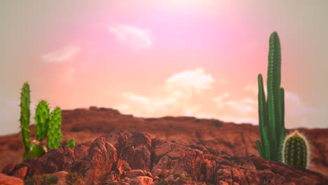 Desert-landscape-with-mountain-and-cacti-in-sunset