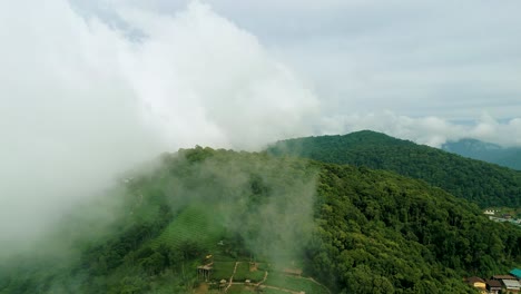 imágenes aéreas de naturaleza cinematográfica de 4k de un avión no tripulado volando sobre las hermosas montañas de mon jam junto a chiang mai, tailandia en un día soleado