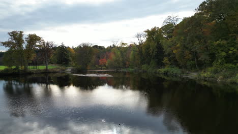 Teich,-Umgeben-Von-Herbstlaub-Im-Naturpark-In-Der-Abenddämmerung