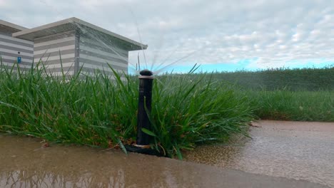 automatic sprinkler closes after watering lawn in the garden