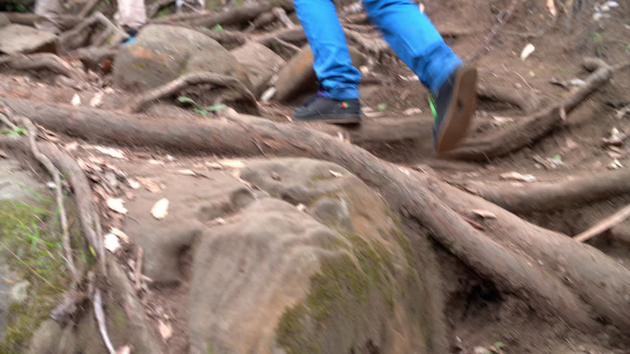 padre e hijo caminando cuesta arriba en un bosque, vista de atrás