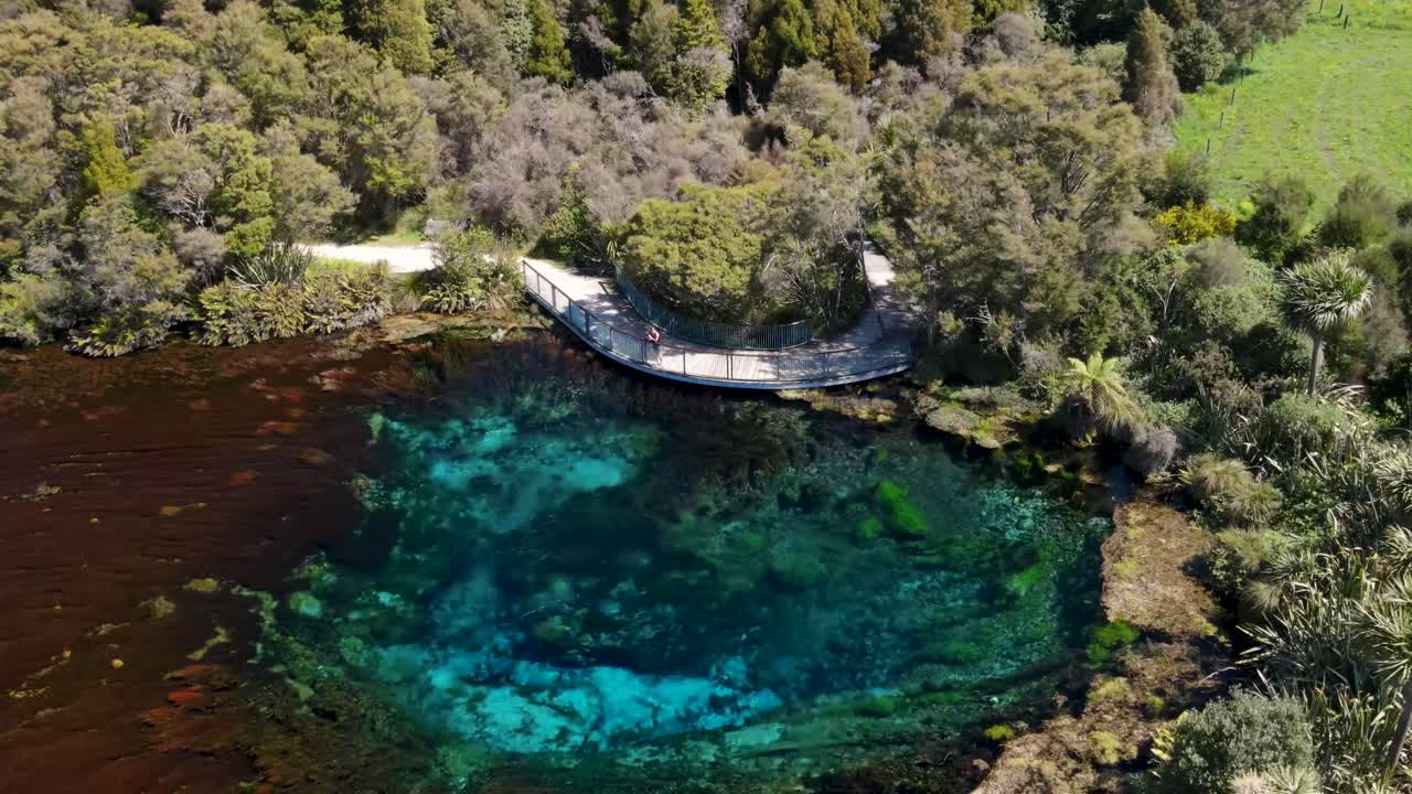 아름다운 자연의 다채로운 깊은 봄의 사진을 찍는 사진작가