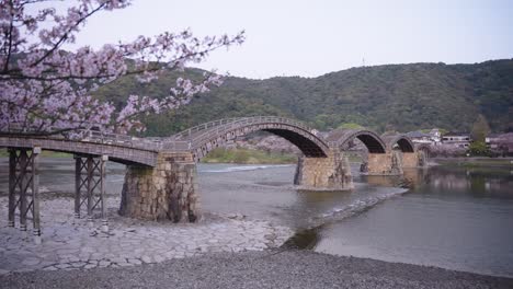 4k-Sakura-De-Primavera-Sobre-El-Puente-Kintaikyo-En-Iwakuni,-Toma-Panorámica-En-Cámara-Lenta