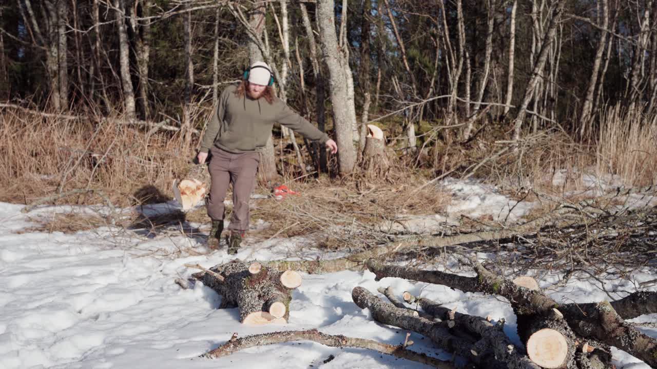 el hombre recoge madera para usar como leña durante el invierno en indre fosen, condado de trondelag, noruega - toma estática