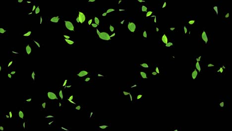 green leaves flying realistic 3d alpha channel loop animation slow motion background.