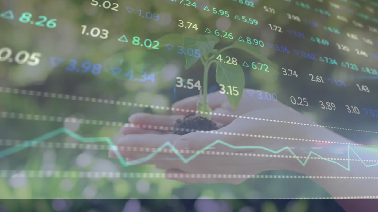 animación del procesamiento de datos financieros sobre la planta de retención de personas