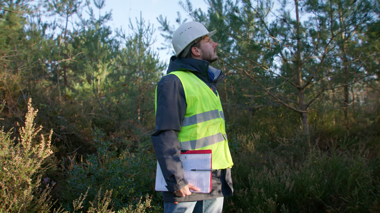 ingeniero masculino mirando hacia arriba a los árboles mientras sostiene su tablón de recortes en el medio del bosque, handheld closeup