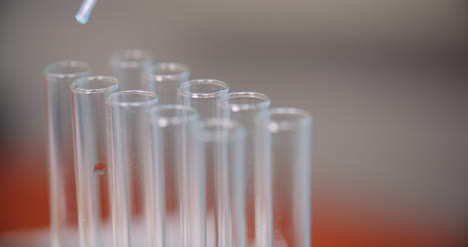 trabajando en científico de laboratorio usando pipeta en el laboratorio 1