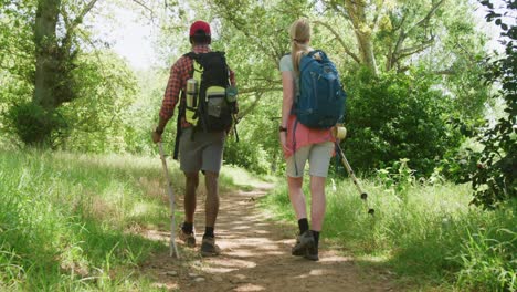 pareja diversa caminando con mochilas en el parque en un día soleado, cámara lenta