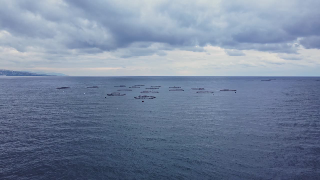 개방된 바다에서 생선 농장. 해상 수산물 농장